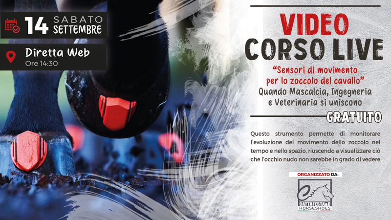 Video Corso Live