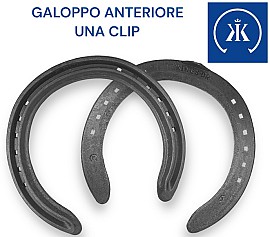 Kerckhaert KINGS DR Galoppo Ferro 16x8 Front una Clip