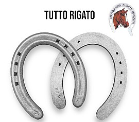 CTF TUTTO RIGATO Trotto Alluminio Front