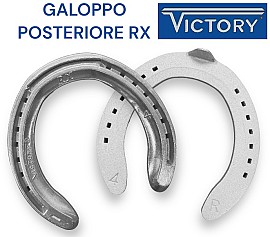 Victory RX Alluminio con Salvapunta e Barbetta Hind