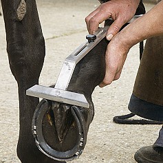 Squadra Maniscalco Adjustable T Square