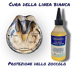 disinfettante della linea bianca Keratex
