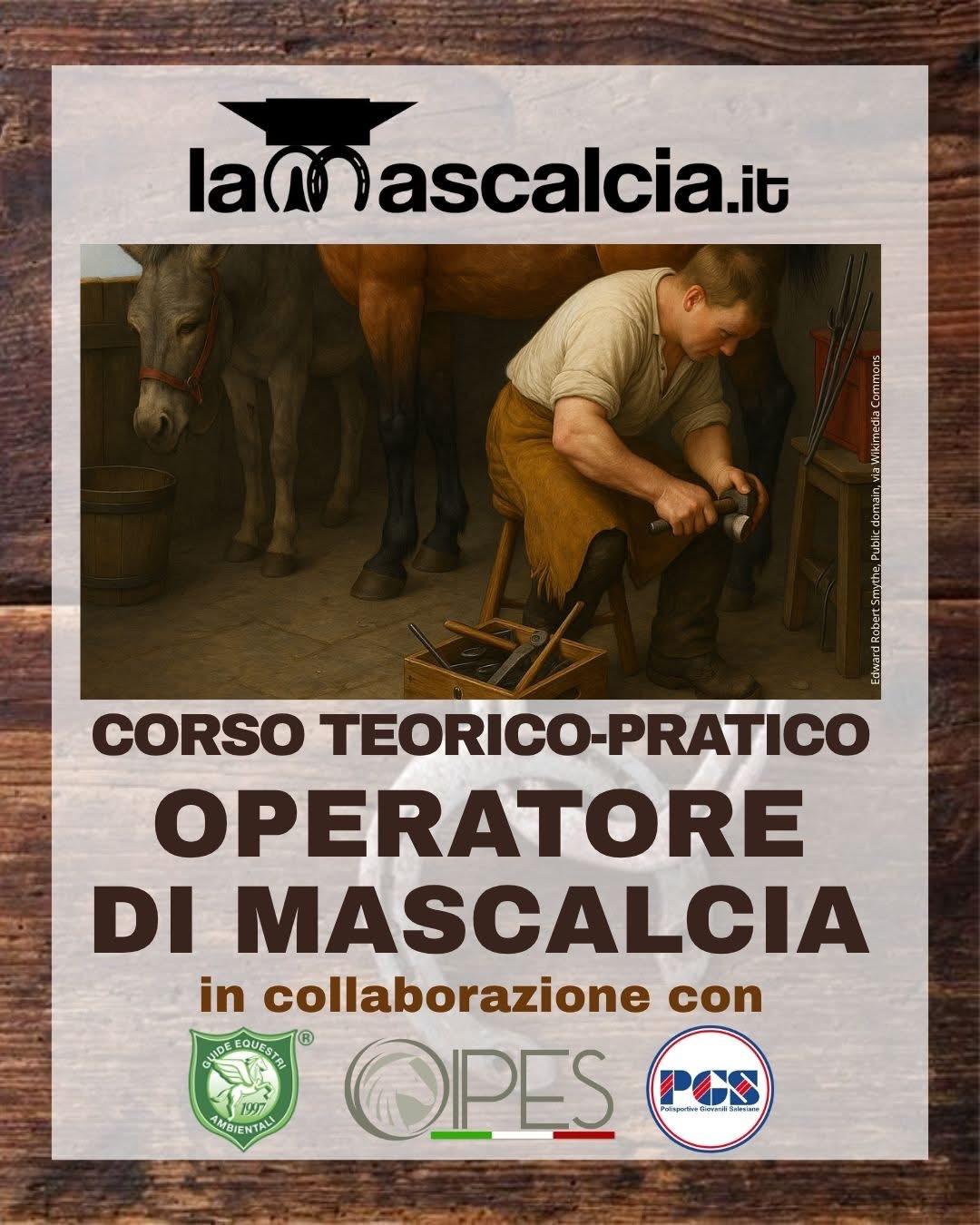 Codice Sconto MASCALCIA10 valido fino al 20-12-2025