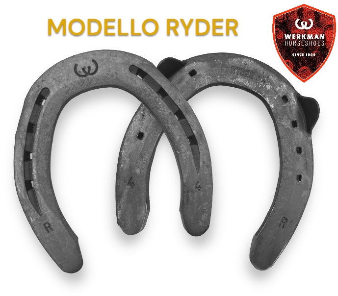 Werkman RYDER ORIGINAL MISURE TEDESCHE 19/22x8 due clip Hind