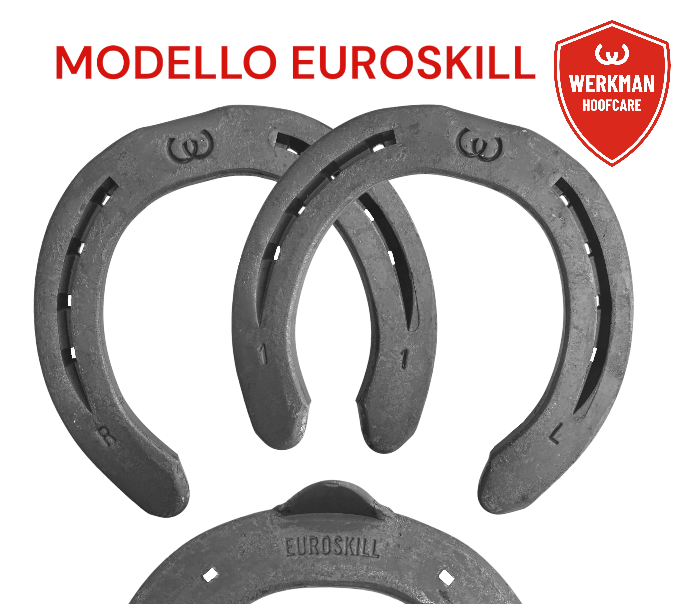 Werkman EUROSKILL 20x8/25x8/20x10 Front una clip