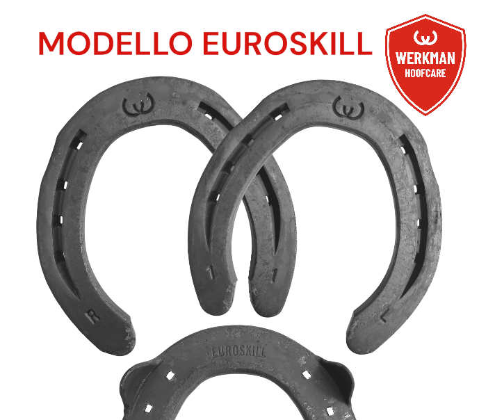 Werkman EUROSKILL 25x10 Hind due clip