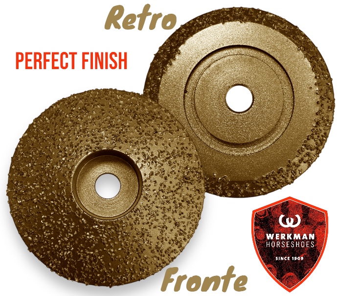 Werkman hoof Grinder Disco Diamantato per Pareggio Perfect Finish