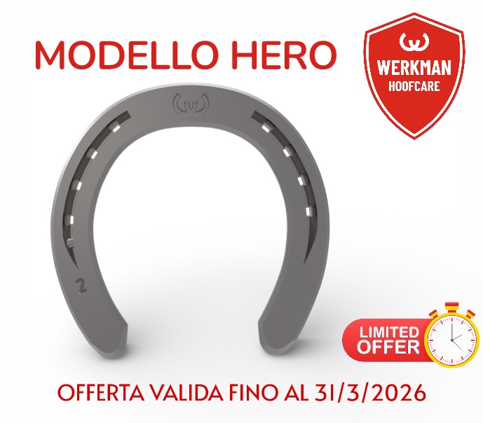 Werkman Hero Anteriore Una Clip sezione 20/22/25x8_3