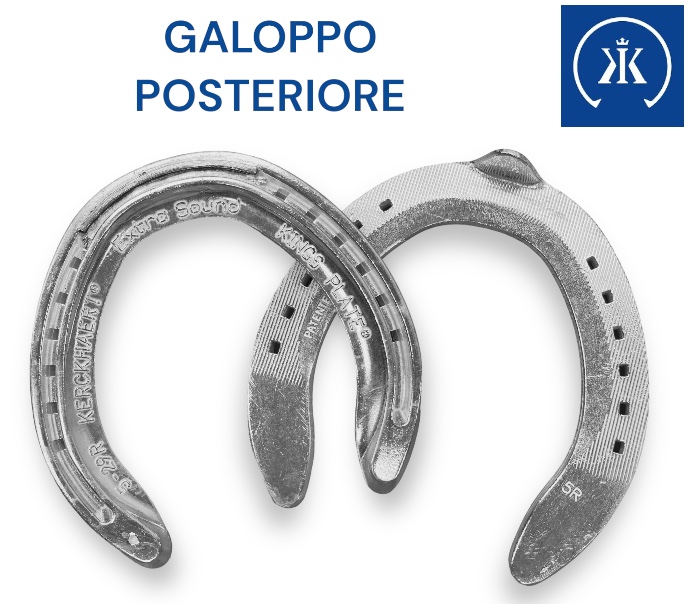 Kerckhaert EXTRA SOUND Galoppo  Alluminio Hind  una Clip