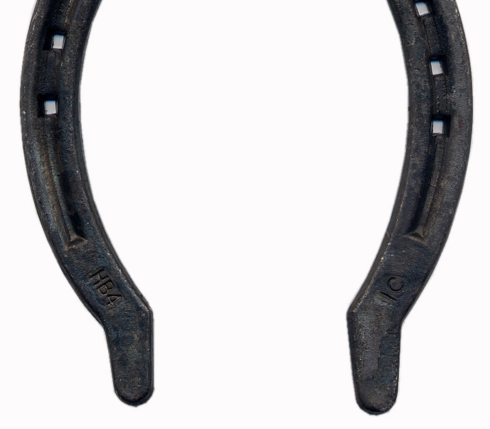 HB-Trotto Ferro coda di rondine_2