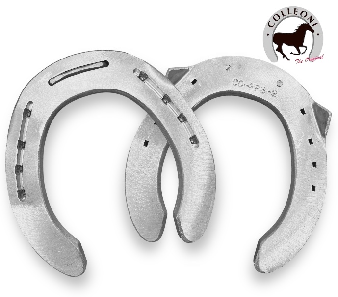 FPBB Ferro Classico hind due clip