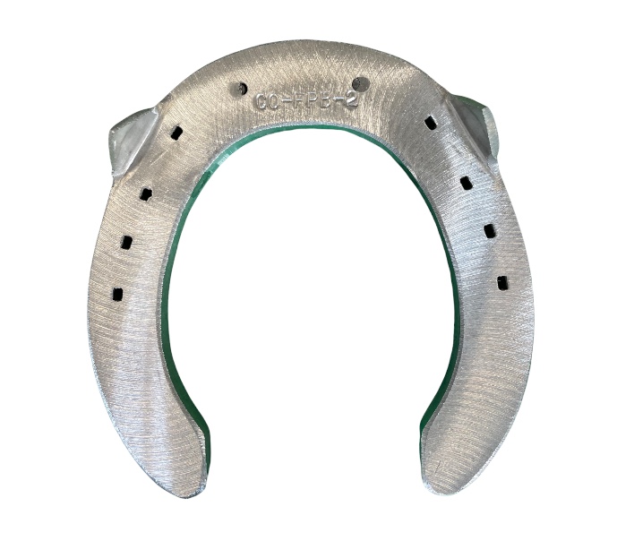 FPBB Ferro Classico hind due clip_1