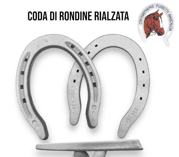 CTF Partners APPOGGIO RIALZATO Trotto Alluminio Hind