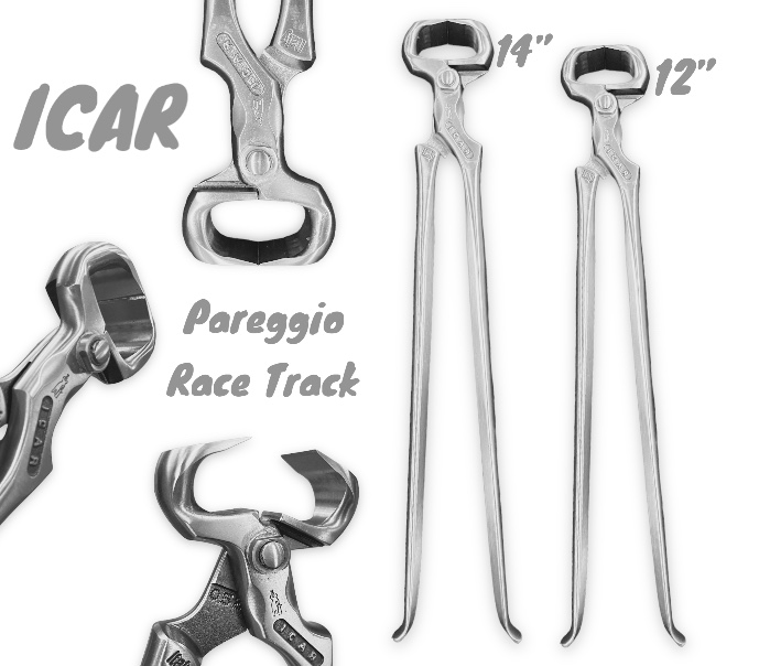Icar Tenaglia da Pareggio Race Track