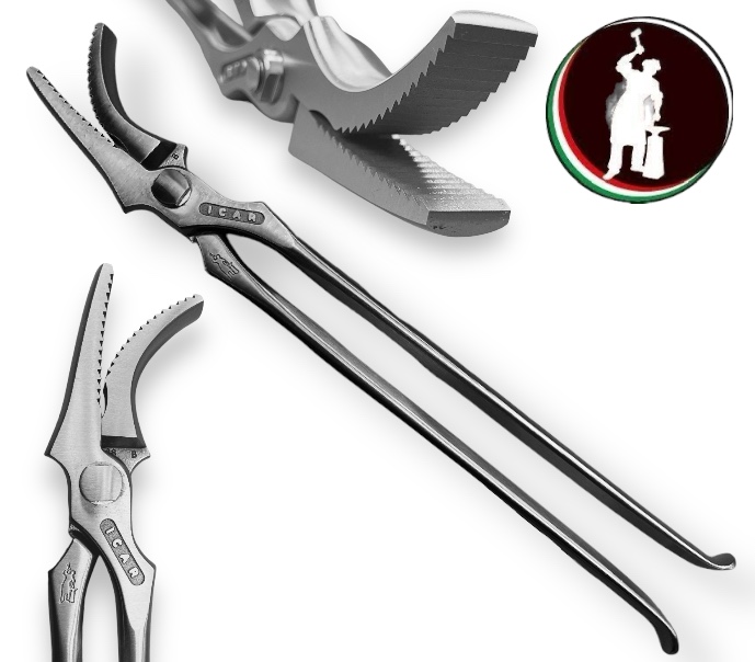 Tirachiodi PER SELLA e SALTO OSTACOLI DRAFT HORSES