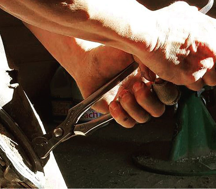 Tenaglia Maniscalco Leva chiodi ICAR_2