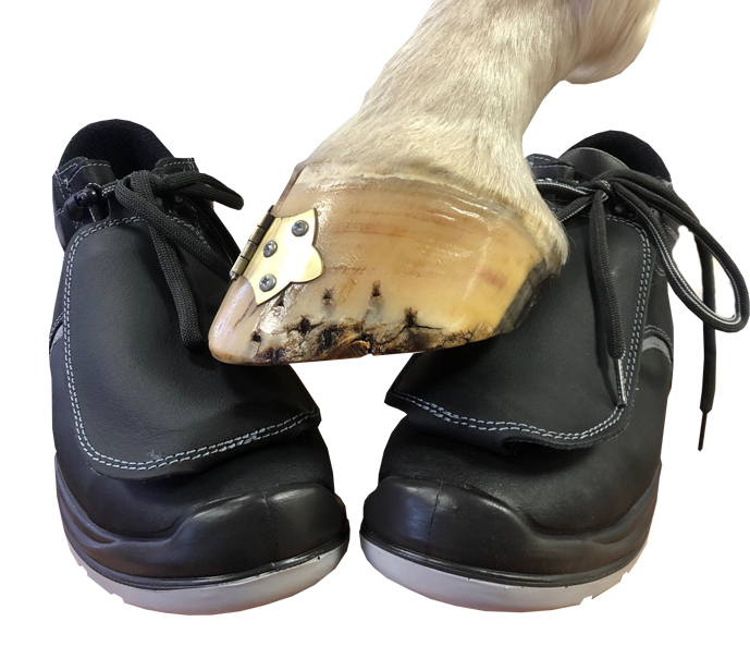 Giasco Scarpe in pelle per la protezione del maniscalco protezione Metatarsale_1