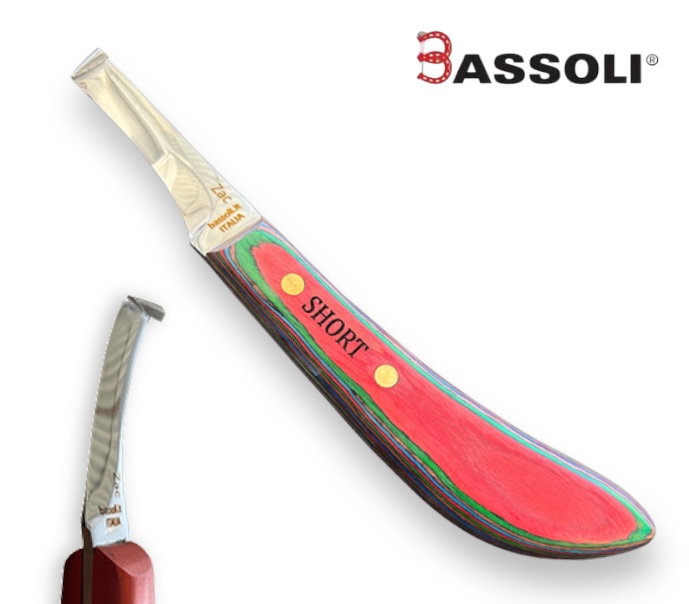 Coltello Inglese Zac Destro Lama Dritta con Manico in Legno