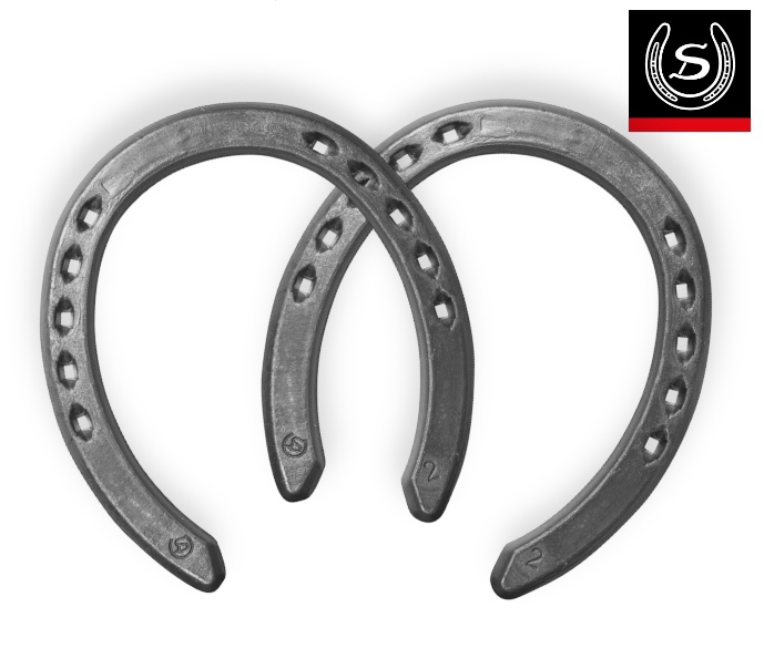 TFP- Trotto 16x6 Ferro Punch Liscio Front