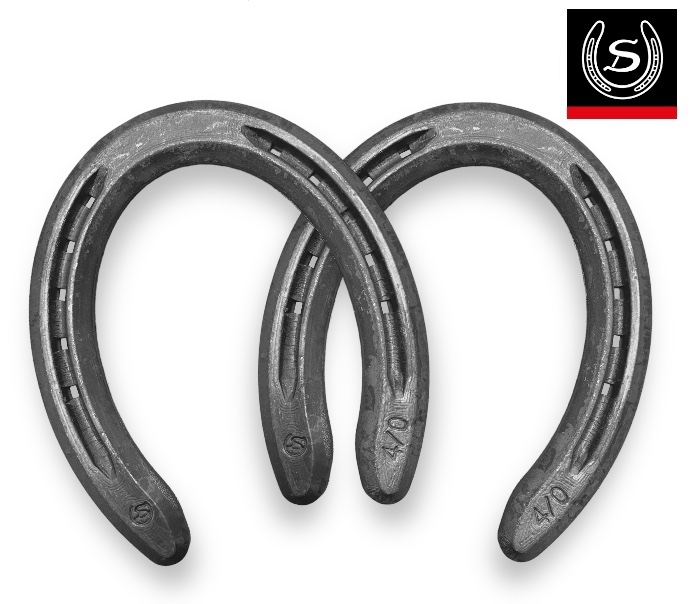 FPP- Trotto 20x6,5 Ferro Rigato Punta piena