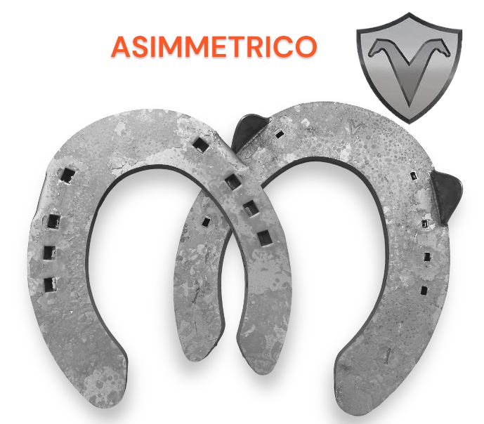 Visani ASIMMETRICO Hind due Clip