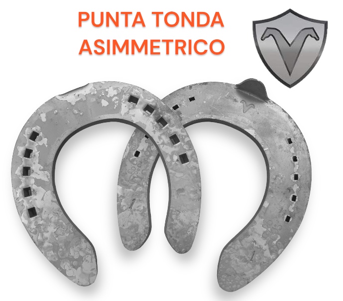 Visani ASIMMETRICO Punta Tonda Front una Clip