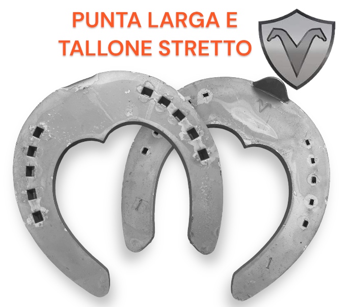 Visani PUNTA LARGA Front una Clip