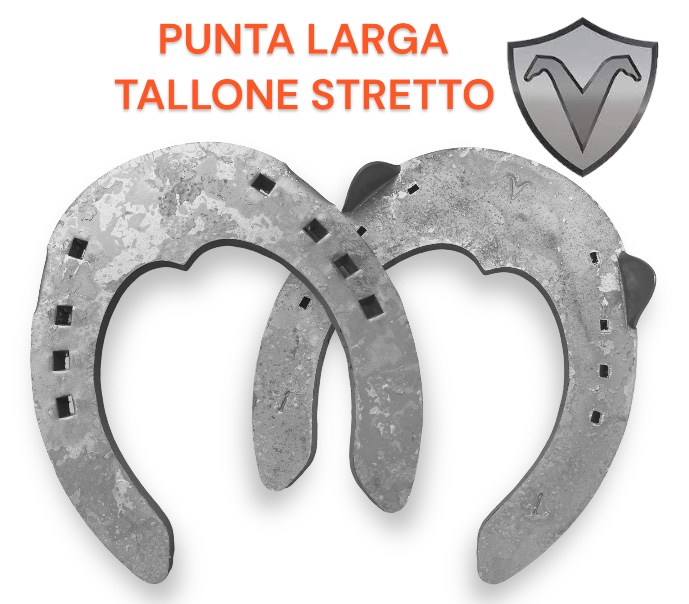 Visani PUNTA LARGA Posteriori due Clip