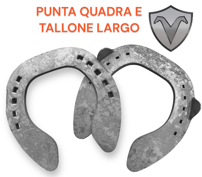 Visani PUNTA QUADRA Tallone a cipolla due Clip Front due Clip