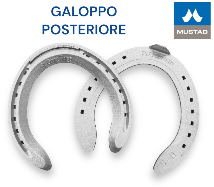 S.Croix CONCORD Galoppo Alluminio Hind una Clip