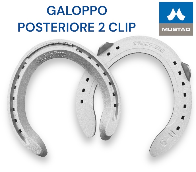 S.Croix CONCORD Galoppo Alluminio Hind due Clip