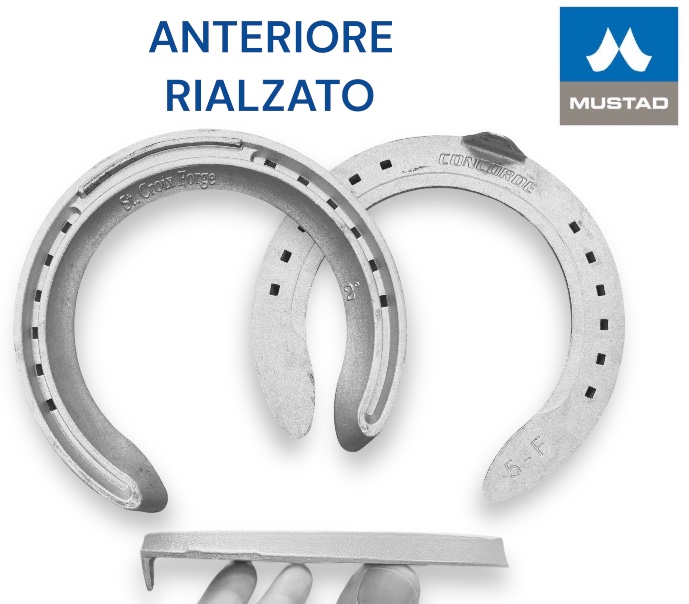 S.Croix CONCORD RIALZATI Galoppo Alluminio Front una Clip