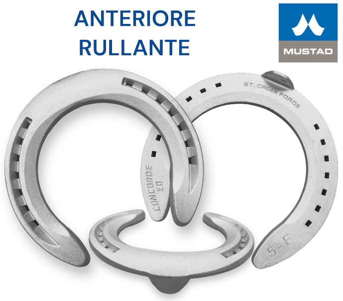 S.Croix CONCORD EQUI-LIBRIUM Galoppo Alluminio Front una Clip