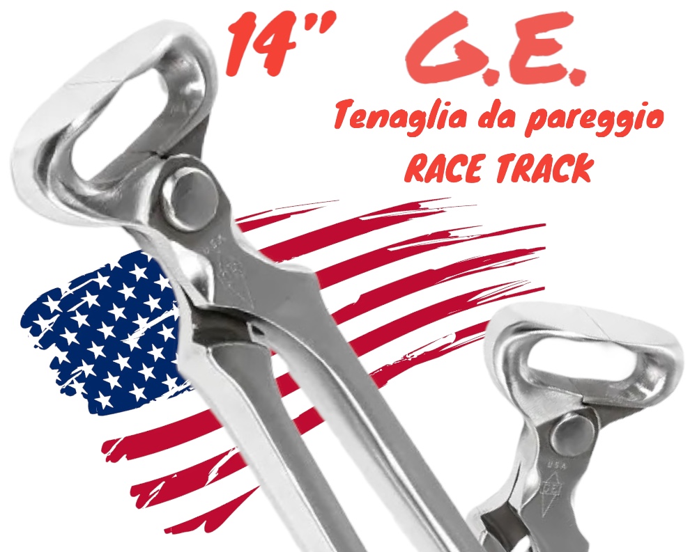 G.E. Tenagila Pareggio Easy Nipper EZ Race Track