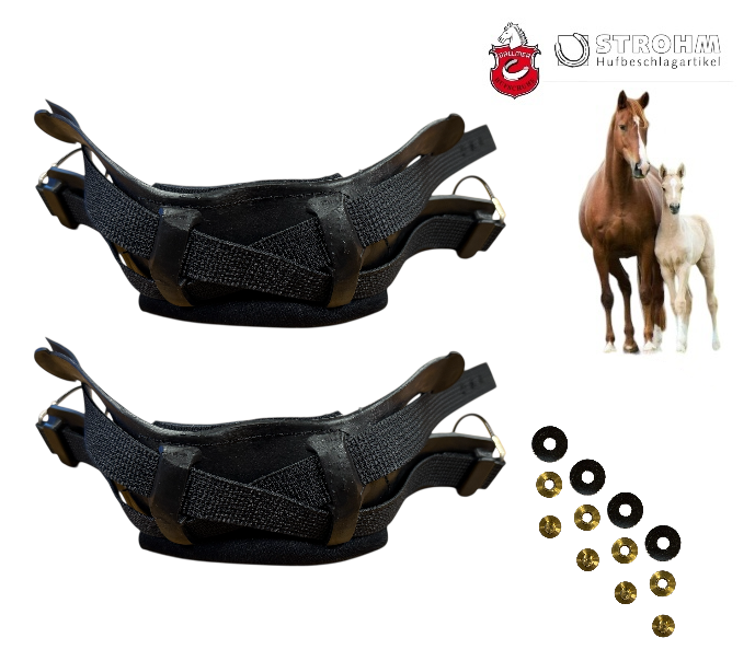 Dallmer RICAMBI Variante: Imbottitura posteriore + cinturini